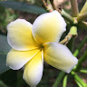 Meet your Posher, Seina